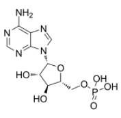 Vidarabine phosphate  
