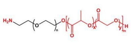 PLGA-PEG-NH2 NH2-PEG-PLGA  聚乳酸-羟基乙酸共聚物聚乙二醇氨基