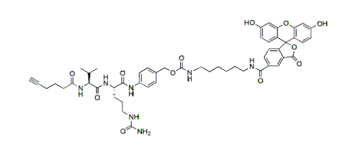 Alkyne-Val-Cit-PAB-FAM