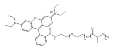  PLA-PEG-RB 聚乳酸-聚乙二醇-罗丹明