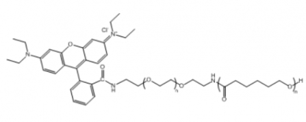 PCL-PEG-RB 聚己内酯-聚乙二醇-罗丹明B