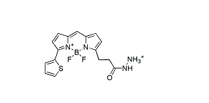 BDP 558/568 hydrazide