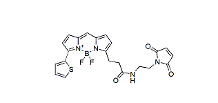 BDP 558/568 maleimide