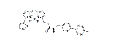 BDP 558/568 tetrazine