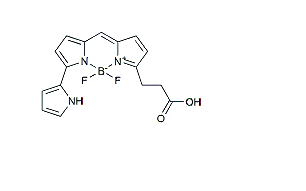 BDP 576/589 carboxylic acid