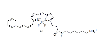 BDP 581/591 amine