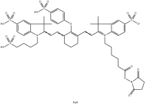 IR800-NHS；CAS：956579-01-4；IR800 琥珀酰亚胺酯活性脂