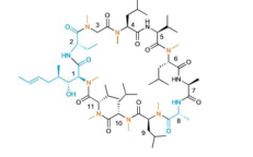 递送剂多肽TAT-HA2 FUSION PEPTIDE；CAS  923954-79-4