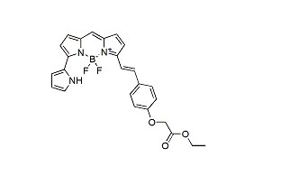 BDP 650/665 lipid stain