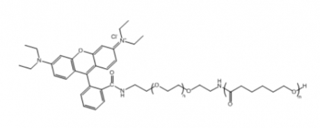 PCL-PEG-RB  聚己内酯-聚乙二醇-罗丹明B