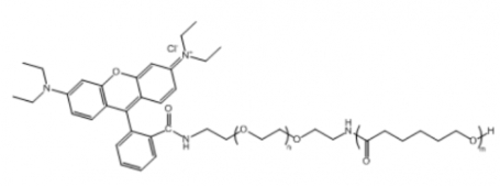 PCL-PEG-RB 聚己内酯-聚乙二醇-罗丹明B