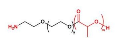  PLA-PEG-NH2 NH2-PEG-PLA  聚乳酸聚乙二醇氨基