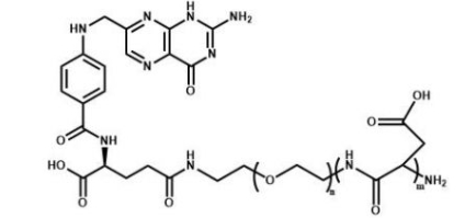 PAsp-PEG-Folate 聚天冬氨酸聚乙二醇叶酸