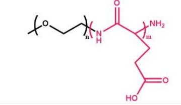 mPEG-b-PGA mPEG-b-Poly(L-Glutamic acid) 甲氧基聚乙二醇聚谷氨酸