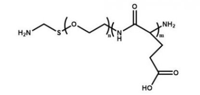 PGA-PEG-NH2 聚谷氨酸-聚乙二醇-氨基