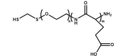 PGA-PEG-SH 聚谷氨酸-聚乙二醇-巯基
