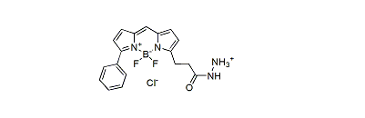 BDP R6G hydrazide