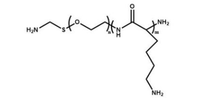  NH2-PEG-PLL Polylysine-PEG-Amine  氨基聚乙二醇聚赖氨酸