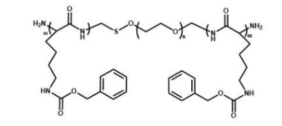 PZLL-PEG-PZLL 聚赖氨酸苄酯聚乙二醇聚赖氨酸苄酯