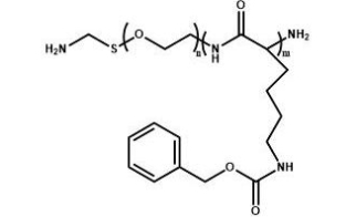  NH2-PEG-PZLL  氨基聚乙二醇聚赖氨酸苄酯