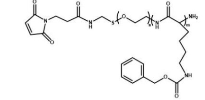 Mal-PEG-PZLL  马来酰亚胺聚乙二醇聚赖氨酸苄酯