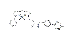 BDP R6G tetrazine