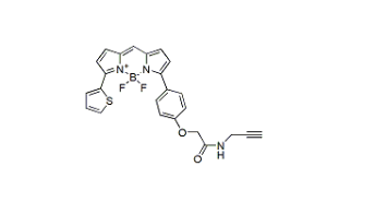 BDP TR alkyne