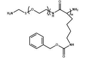 NH2-PEG-PZLL  氨基聚乙二醇聚赖氨酸苄酯