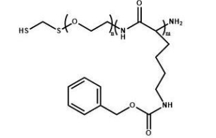 HS-PEG-PZLL 巯基聚乙二醇聚赖氨酸苄酯