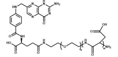 PAsp-PEG-Folate 聚天冬氨酸聚乙二醇叶酸 
