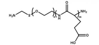 PGA-PEG-NH2  聚谷氨酸-聚乙二醇-氨基