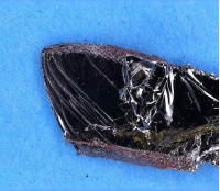 黑磷量子点BPQDs 粉末