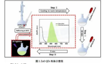 水溶性ZnO量子点