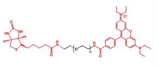 罗丹明聚乙二醇生物素 RB-PEG-BIOTIN，罗丹明PEG生物素 生物素PEG罗丹明
