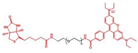 RB-PEG-BN Rhodamine-PEG-BIOTIN  生物素PEG罗丹明