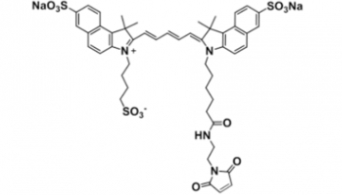 triSulfo-Cy5.5 Maleimide 三磺酸基Cy5.5 马来酰亚胺 