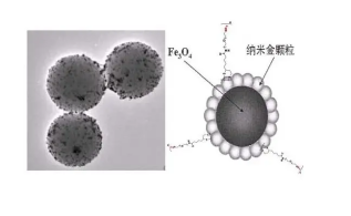 PEG2k-PMMSD5k；聚乙二醇-聚甲基丙烯酸甲酯
