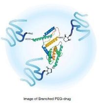PS-b-P2VP  聚苯乙烯-b-聚（2-乙烯基吡啶）