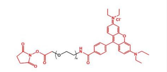 罗丹明聚乙二醇活性酯 RB-PEG-NHS