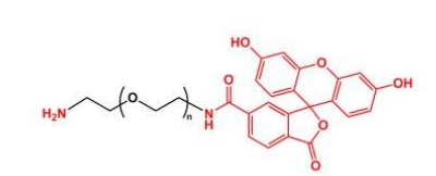  NH2-PEG-FITC Amine-PEG-FITC  荧光素聚乙二醇氨基
