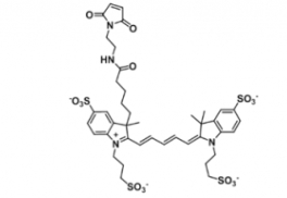 1825332-75-9   Alexa Fluor 647 Maleimide