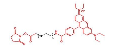 RB-PEG-SC Rhodamine-PEG-NHS 活性酯聚乙二醇罗丹明