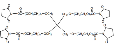 4臂星形-聚乙二醇-N-羟基琥珀酰亚胺 4-Arm PEG NHS