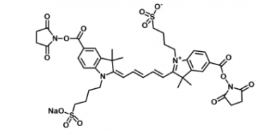 diSulfo-Cy5 bis-NHS ester 磺酸基Cy5-双活性酯