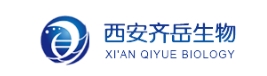 Cy3.5-PEG-NHS Cy3.5-PEG-SC Cy3.5-聚乙二醇-琥珀酰亚胺酯