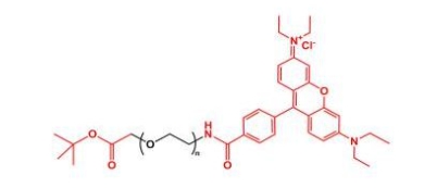 Rhodamine-PEG-COOtBu	 罗丹明聚乙二醇叔丁酯