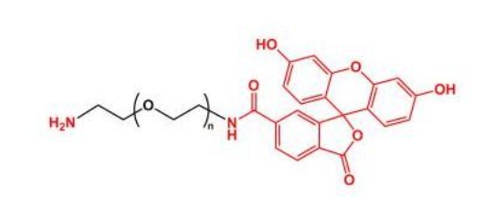 荧光素聚乙二醇氨基 FITC-PEG-NH2