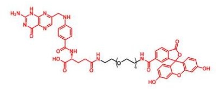 FITC-PEG-Folate Folate-PEG-FITC 荧光素聚乙二醇叶酸