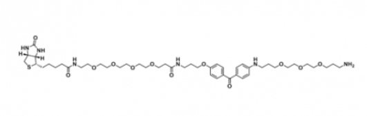 UV-Tracer Biotin amine；紫外追踪-生物素-胺