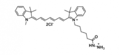 Cyanine7 hydrazide 脂性Cy7-酰肼 C34H44Cl2N4O